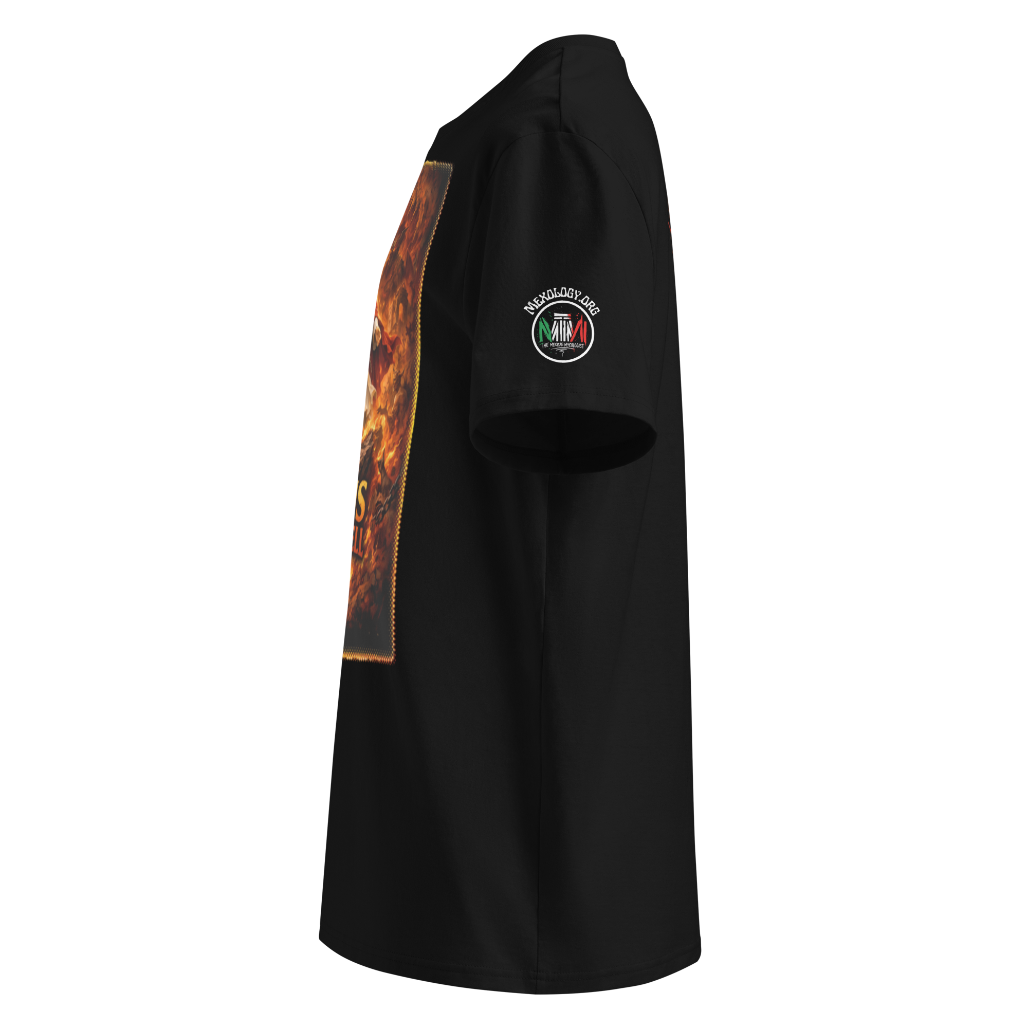 MEXOLOGY.ORG Jesus T-Shirt